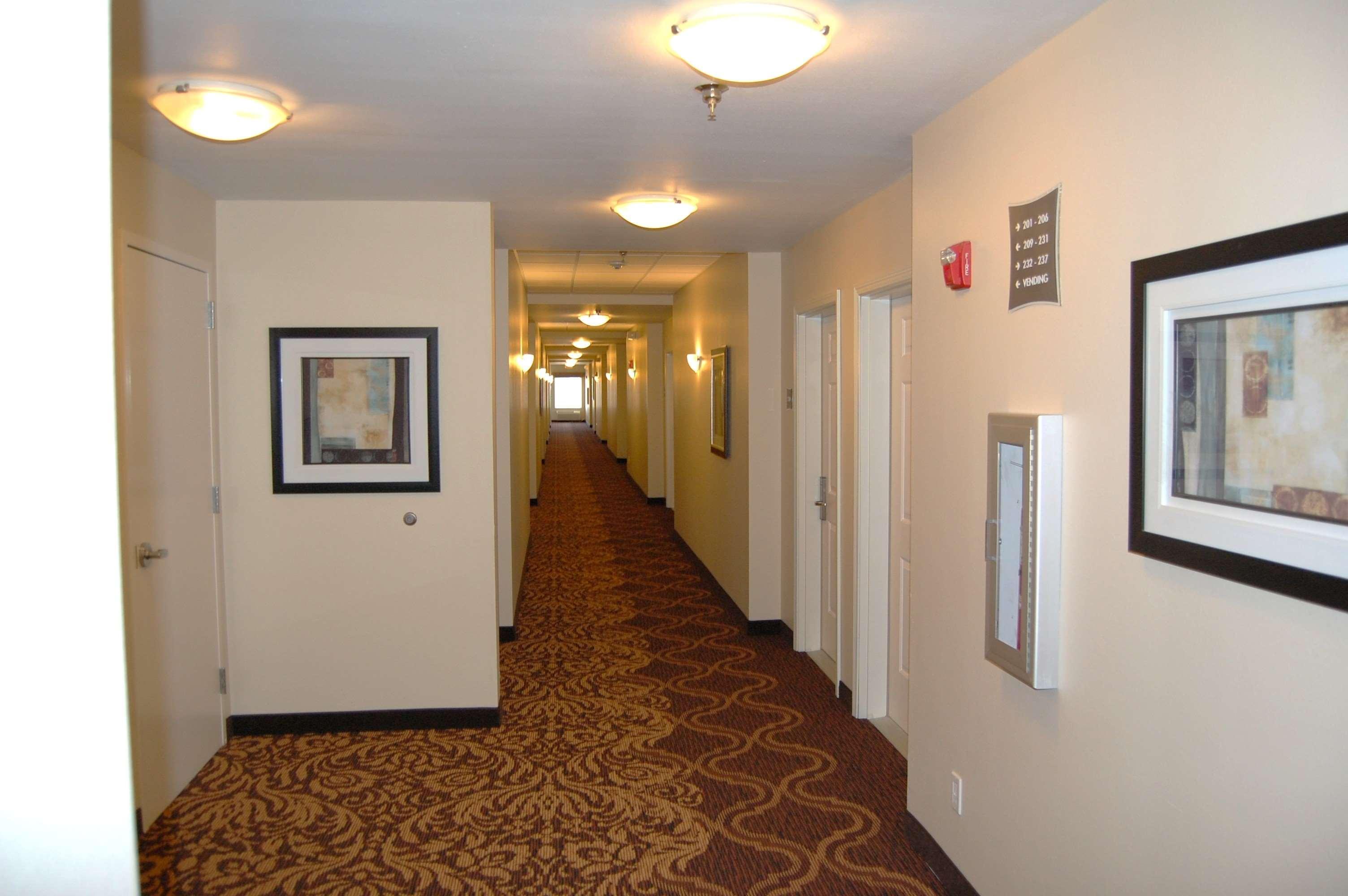 Best Western Plus MidAmerica Hotel Mascoutah Esterno foto